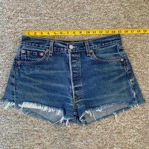 Vintage Levis Cutoff Shorts (Well Loved)